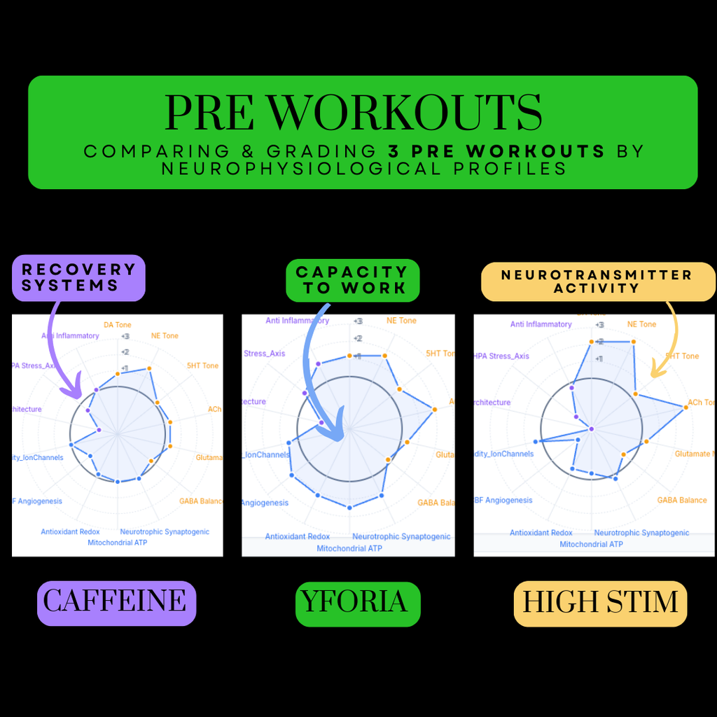 YFORIA PREWORKOUT