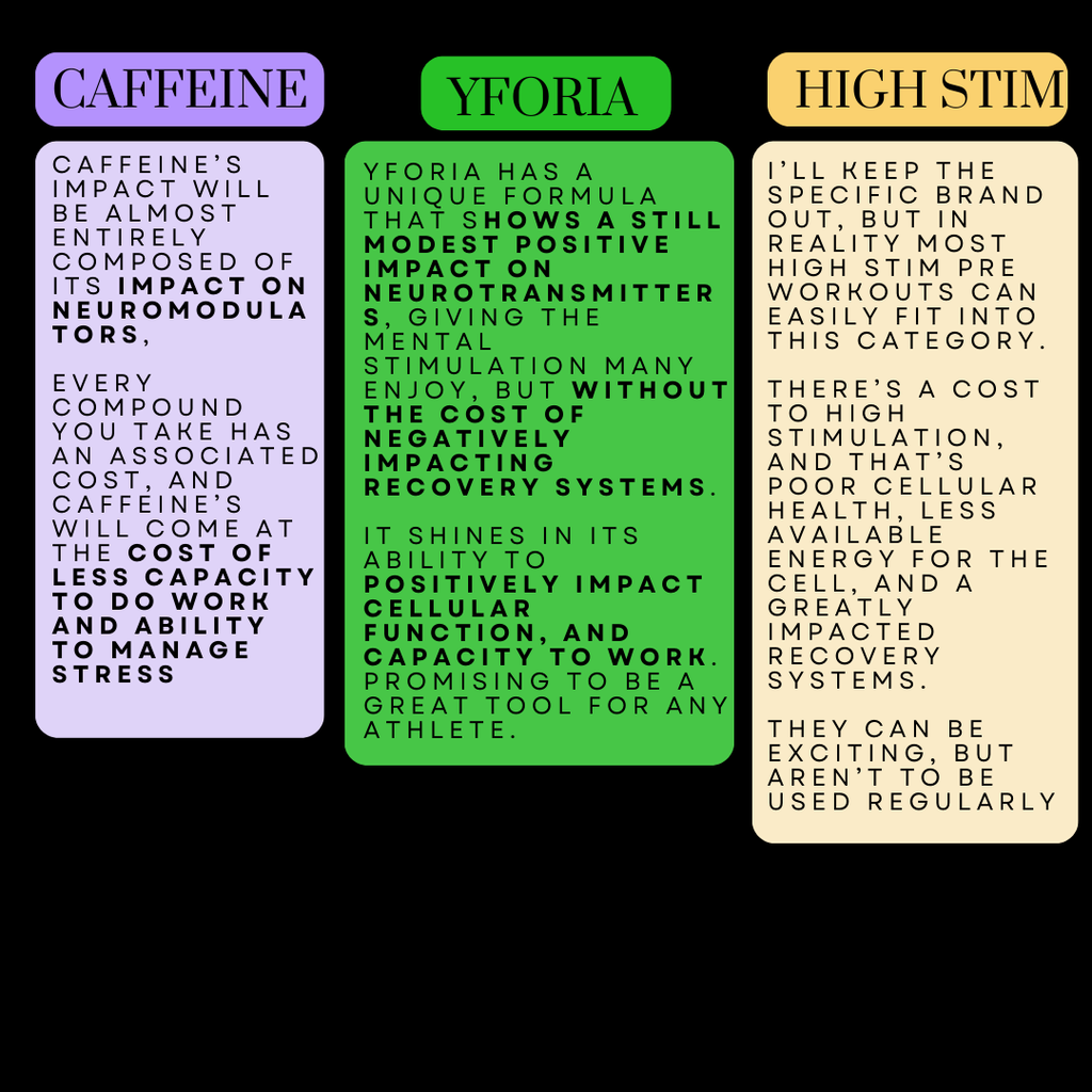 YFORIA PREWORKOUT